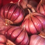 Burgundy garlic