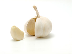 head of garlic