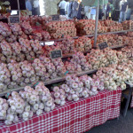 gourmet garlic growers list