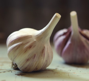 persian star garlic