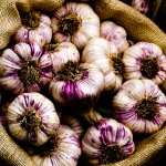 types of garlic